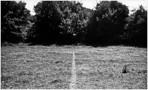 Richard Long, A line Made by Walking, 1967